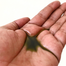 Load image into Gallery viewer, A hand holding a small amount of hair oil, ready to apply for nourishment and shine.