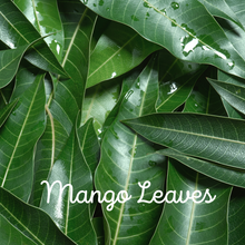 Load image into Gallery viewer, Poombukar Happy Pongal Seer 2025 - Value Pack