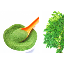 Load image into Gallery viewer, 100% Natural Moringa | Murungai Leaves Powder 100 grams